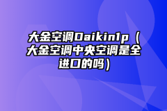 大金空调Daikin1p（大金空调中央空调是全进口的吗）